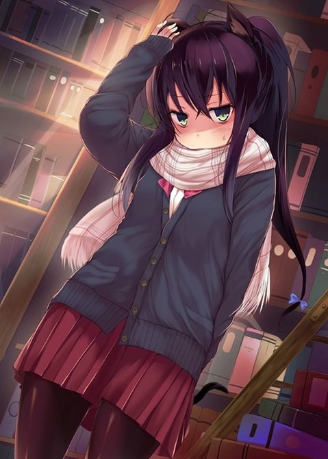 猫耳が可愛い女の子の二次エロ画像⑤　100枚 82