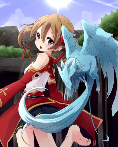 【SAO】シリカ(綾野珪子）の二次エロ画像　50枚【ソードアート・オンライン】 23