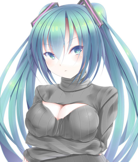 【ボーカロイド】初音ミクの二次エロ画像②　50枚【VOCALOID】 13