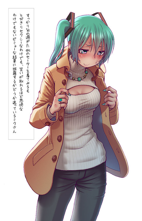 【ボーカロイド】初音ミクの二次エロ画像②　50枚【VOCALOID】 14