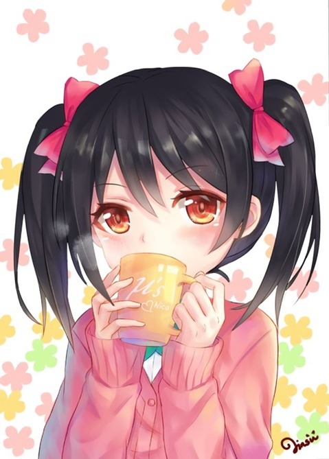 ツインテールの女の子の二次エロ画像⑥　100枚 25