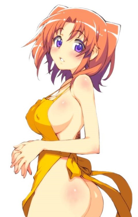 裸エプロンがエロくて仕方ない二次エロ画像⑳　25枚 11