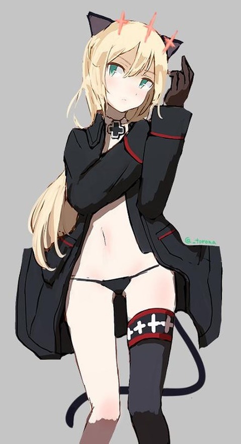 猫耳が可愛い女の子の二次エロ画像④　100枚 61