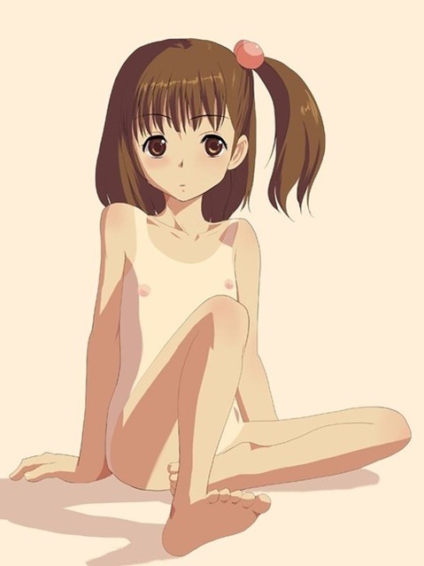 貧乳・微乳・ちっぱいな女の子の二次エロ画像㉚　25枚 19