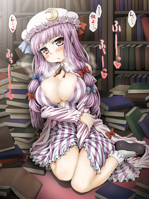 【東方】パチュリー・ノーレッジの二次エロ画像①　100枚【東方Project】 5