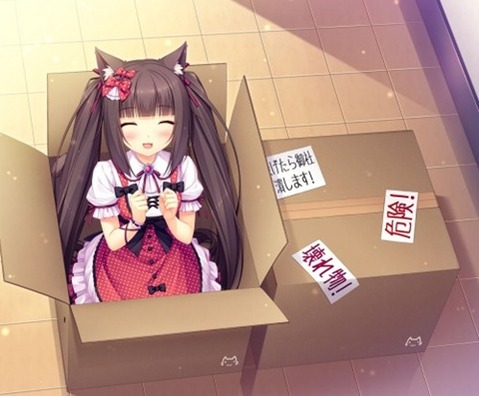 猫耳が可愛い女の子の二次エロ画像④　100枚 32