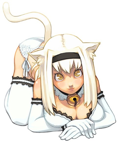 猫耳が可愛い女の子の二次エロ画像①　100枚 11