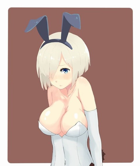 うさ耳が可愛い女の子の二次エロ画像⑤　100枚 51