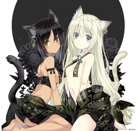 猫耳が可愛い女の子の二次エロ画像②　100枚 77