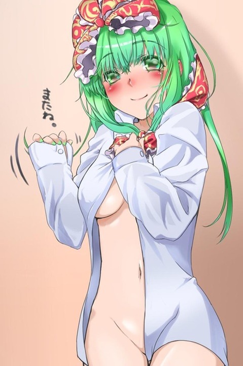 【東方】鍵山雛の二次エロ画像②　95枚【東方Project】 44