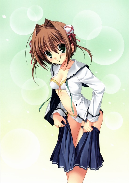 【二次エロ】制服着ている二次キャラのミニスカやパンチラ画像がみたい！ 16