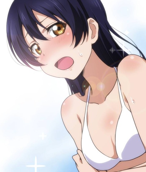 【ラブライブ!】園田海未の二次エロ画像　100枚 50