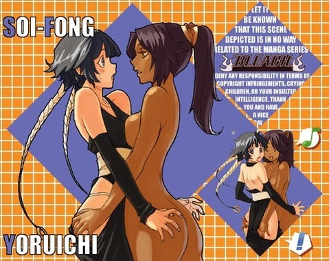 【ブリーチ】四楓院夜一の二次エロ画像　100枚【BLEACH】 47