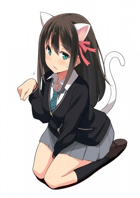 猫耳が可愛い女の子の二次エロ画像⑤　100枚 29