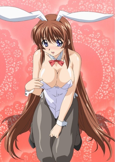 うさ耳が可愛い女の子の二次エロ画像⑤　100枚 43