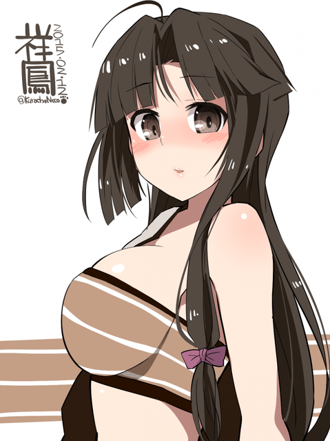 【艦これ】祥鳳の二次エロ画像①　100枚【艦隊これくしょん】 90