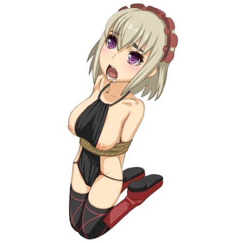 【棺姫のチャイカ】チャイカ・ボフダーンの二次エロ画像　100枚 13