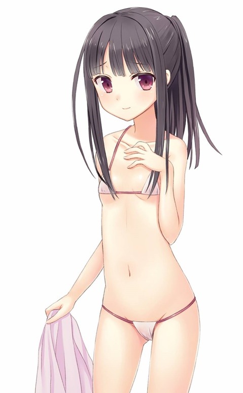 貧乳・微乳・ちっぱいな女の子の二次エロ画像⑯　25枚 2