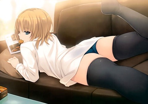 ニーソ・ニーハイを履いた女の子の二次エロ画像④　100枚 65
