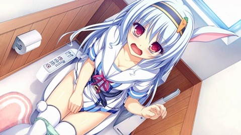 うさ耳が可愛い女の子の二次エロ画像④　100枚 10