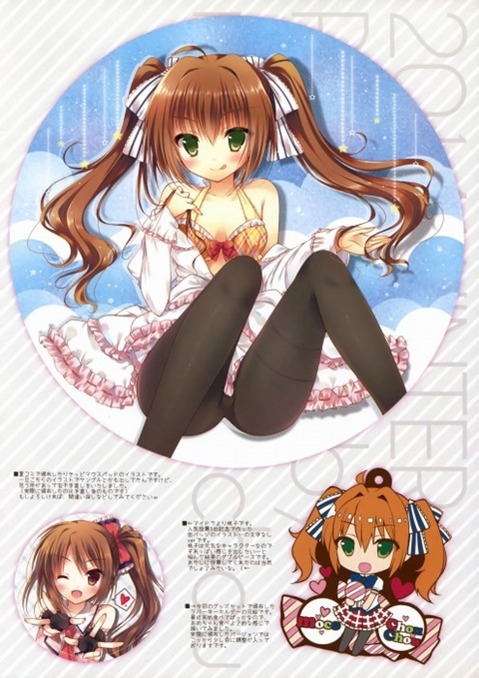 ツインテールの女の子の二次エロ画像⑥　100枚 20
