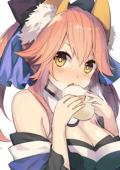 【Fate】キャスターの二次エロ画像　100枚 8
