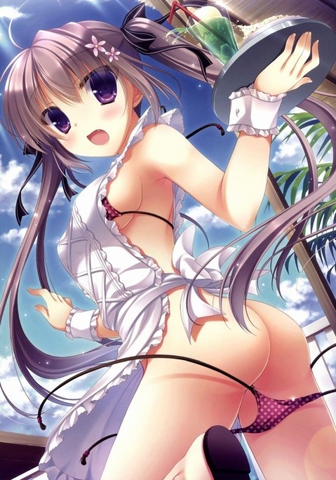 ツインテールの女の子の二次エロ画像④　100枚 96