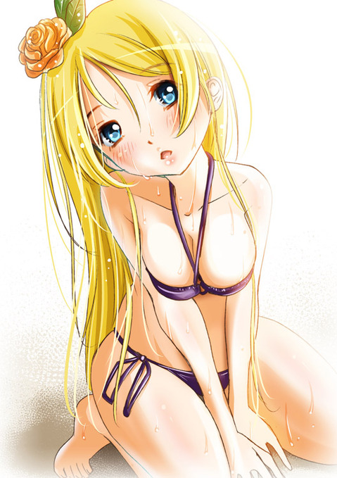 【ラブライブ！】絢瀬 絵里の二次エロ画像が見たい！【画像100枚】 39