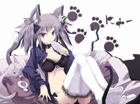 猫耳が可愛い女の子の二次エロ画像④　100枚 3