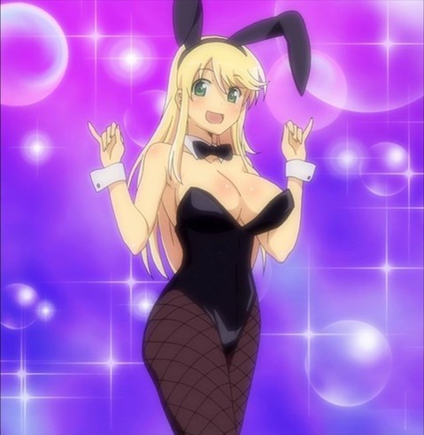 うさ耳が可愛い女の子の二次エロ画像④　100枚 22