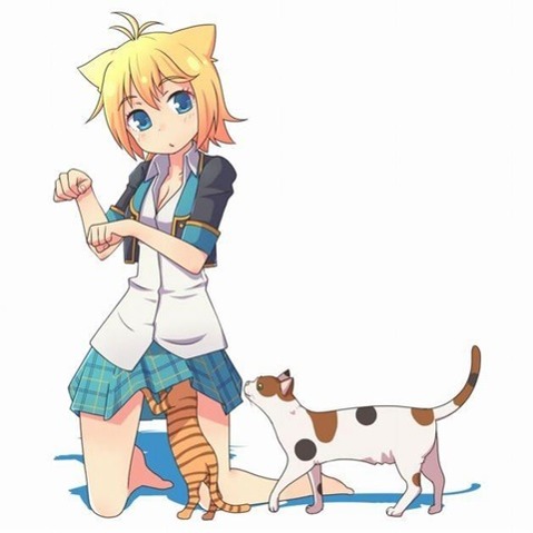 猫耳が可愛い女の子の二次エロ画像⑤　100枚 3