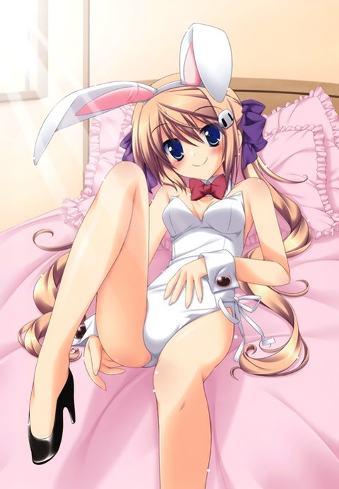 うさ耳が可愛い女の子の二次エロ画像④　100枚 93