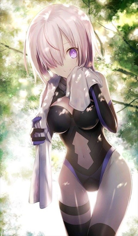 【Fate】マシュ・キリエライトの二次エロ画像　100枚 31