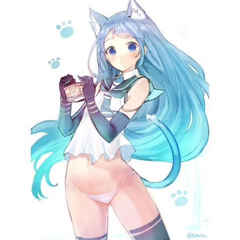 【艦これ】五月雨の二次エロ画像　50枚【艦隊これくしょん】 45