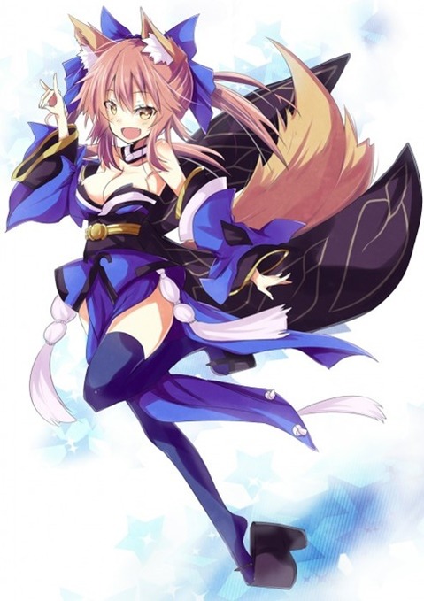 【Fate】キャスターの二次エロ画像　100枚 10