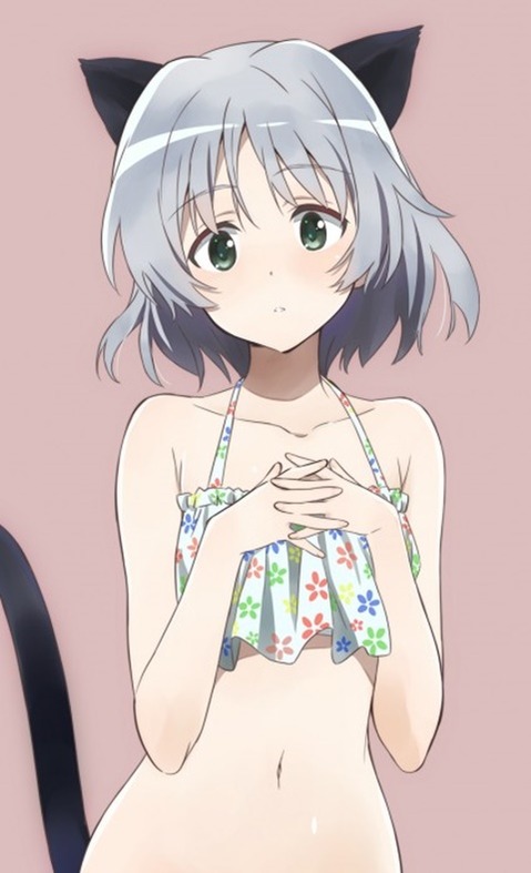 猫耳が可愛い女の子の二次エロ画像④　100枚 7