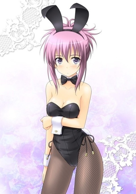 うさ耳が可愛い女の子の二次エロ画像⑤　100枚 22