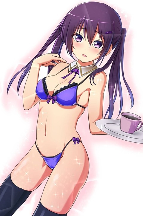 ツインテールの女の子の二次エロ画像④　100枚 71