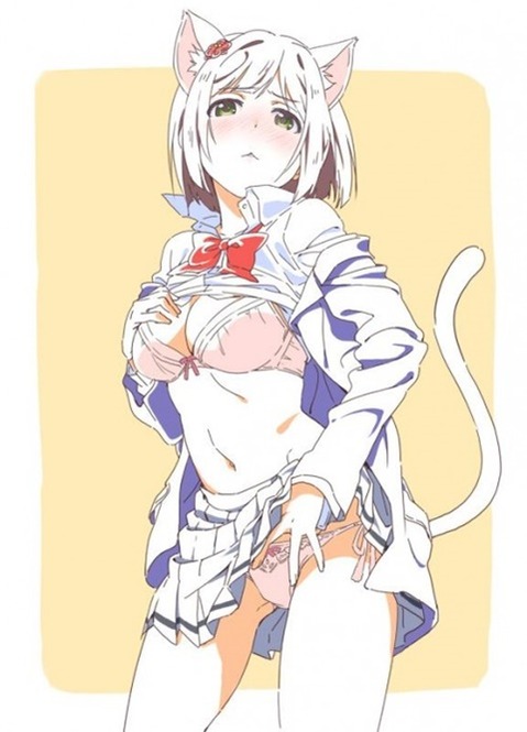 猫耳が可愛い女の子の二次エロ画像②　100枚 32
