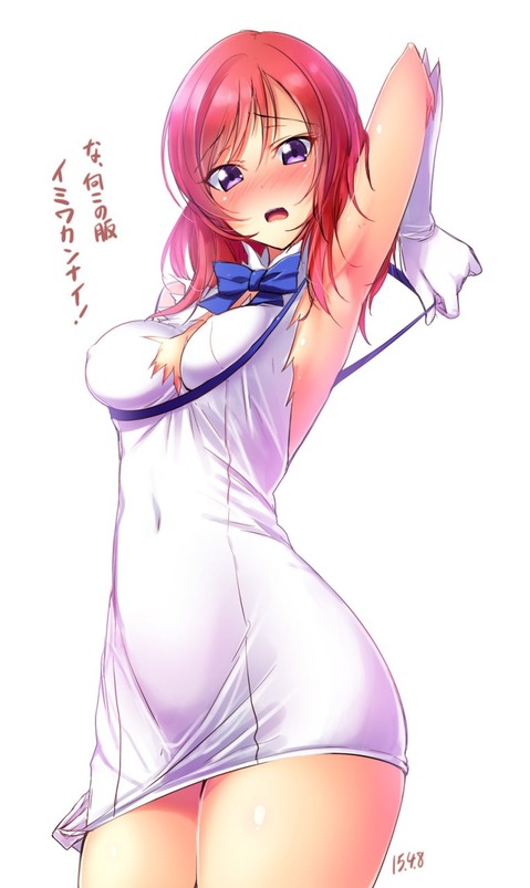 【ラブライブ!】西木野真姫の二次エロ画像　100枚 90