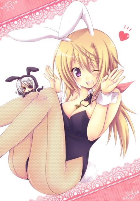 うさ耳が可愛い女の子の二次エロ画像③　100枚 69