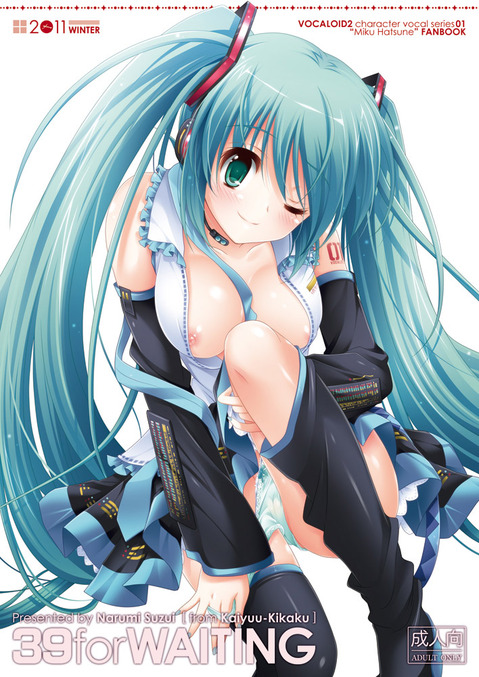 【ボーカロイド】初音ミクの二次エロ画像③　50枚【VOCALOID】 13