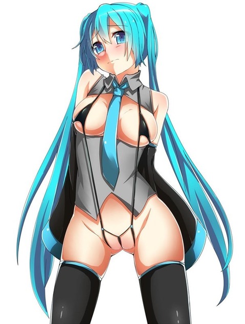 【VOCALOID】初音ミクの二次エロ画像　100枚【ボーカロイド】 17