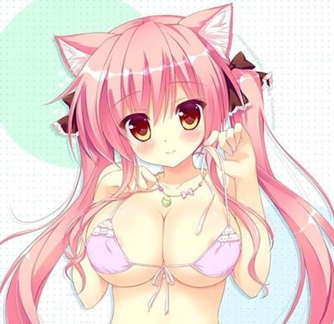 ツインテールの女の子の二次エロ画像⑤　100枚 86