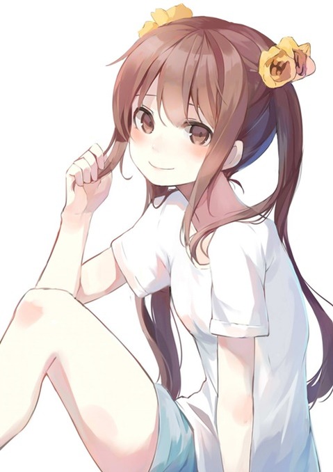ツインテールの女の子の二次エロ画像⑤　100枚 24