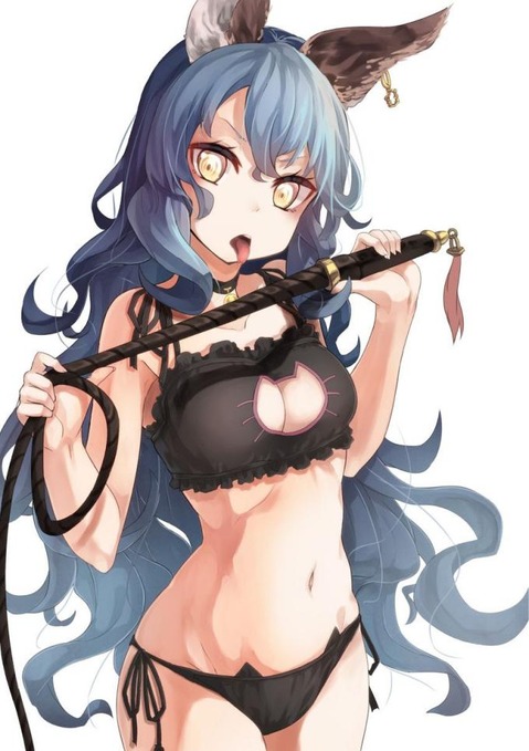 【グラブル】フェリの二次エロ画像　100枚【グランブルーファンタジー】 51