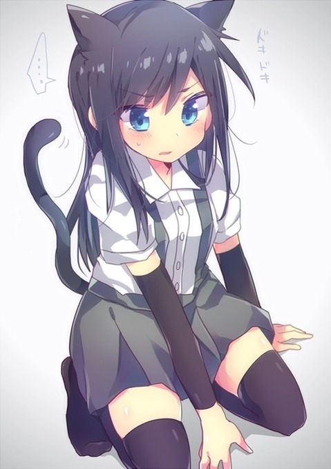 猫耳が可愛い女の子の二次エロ画像④　100枚 72