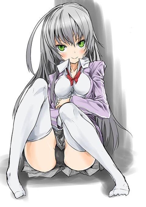 ニーソ・ニーハイを履いた女の子の二次エロ画像⑥　100枚 9