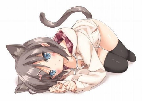 猫耳が可愛い女の子の二次エロ画像④　100枚 54