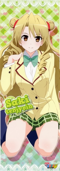 【To LOVEる】天条院沙姫の二次エロ画像 45枚₋020
